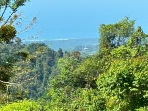 110.17 Acres Ocean View Mountain Estate with Waterfalls Near Hatillo, Costa Rica – 197982 (3)
