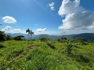 110.17 Acres Ocean View Mountain Estate with Waterfalls Near Hatillo, Costa Rica – 197982 (4)