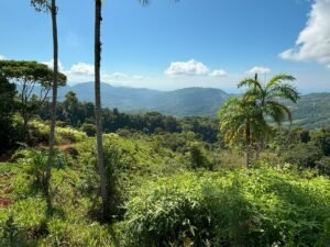 110.17 Acres Ocean View Mountain Estate with Waterfalls Near Hatillo, Costa Rica – 197982 (5)