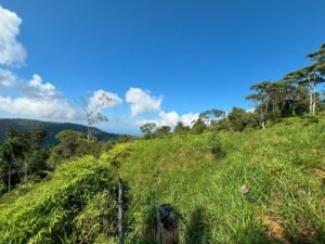 110.17 Acres Ocean View Mountain Estate with Waterfalls Near Hatillo, Costa Rica – 197982 (6)