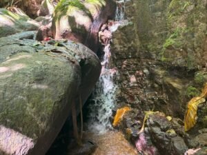 110.17 Acres Ocean View Mountain Estate with Waterfalls Near Hatillo, Costa Rica – 197982 (7)