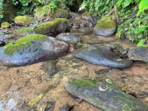 110.17 Acres Ocean View Mountain Estate with Waterfalls Near Hatillo, Costa Rica – 197982 (8)