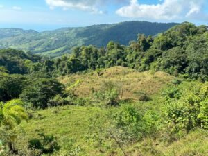 110.17 Acres Ocean View Mountain Estate with Waterfalls Near Hatillo, Costa Rica – 197982 (9)