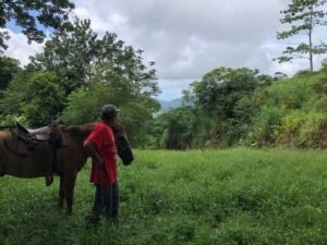 126 Acres Farm for Sale in Costa Rica Ocean View & Waterfalls – 197945 (18)