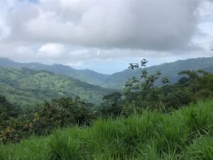 126 Acres Farm for Sale in Costa Rica Ocean View & Waterfalls – 197945 (19)