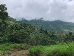 126 Acres Farm for Sale in Costa Rica Ocean View & Waterfalls – 197945 (21)