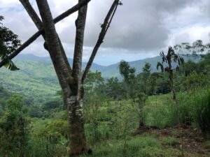 126 Acres Farm for Sale in Costa Rica Ocean View & Waterfalls – 197945 (22)