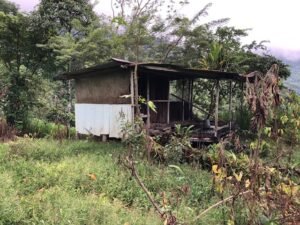 126 Acres Farm for Sale in Costa Rica Ocean View & Waterfalls – 197945 (23)