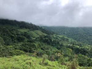 126 Acres Farm for Sale in Costa Rica Ocean View & Waterfalls – 197945 (26)