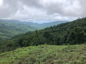 126 Acres Farm for Sale in Costa Rica Ocean View & Waterfalls – 197945 (27)