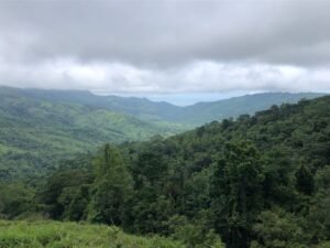 126 Acres Farm for Sale in Costa Rica Ocean View & Waterfalls – 197945 (28)