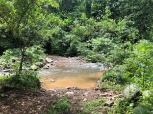 126 Acres Farm for Sale in Costa Rica Ocean View & Waterfalls – 197945 (3)
