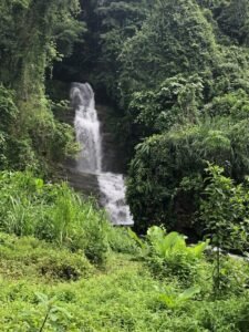 126 Acres Farm for Sale in Costa Rica Ocean View & Waterfalls – 197945 (4)