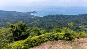 136 Acres Ocean View Land for Sale Near Dominical, Costa Rica – 196812 (11)