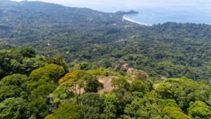 136 Acres Ocean View Land for Sale Near Dominical, Costa Rica – 196812 (12)