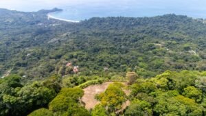 136 Acres Ocean View Land for Sale Near Dominical, Costa Rica – 196812 (13)