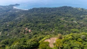 136 Acres Ocean View Land for Sale Near Dominical, Costa Rica – 196812 (15)