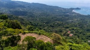 136 Acres Ocean View Land for Sale Near Dominical, Costa Rica – 196812 (19)