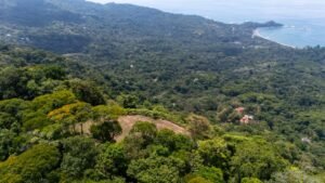 136 Acres Ocean View Land for Sale Near Dominical, Costa Rica – 196812 (20)
