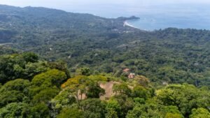 136 Acres Ocean View Land for Sale Near Dominical, Costa Rica – 196812 (21)