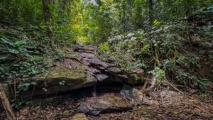 136 Acres Ocean View Land for Sale Near Dominical, Costa Rica – 196812 (4)