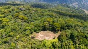 136 Acres Ocean View Land for Sale Near Dominical, Costa Rica – 196812 (5)