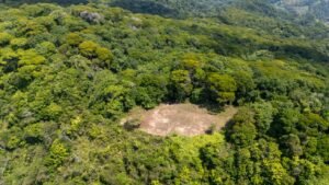 136 Acres Ocean View Land for Sale Near Dominical, Costa Rica – 196812 (6)