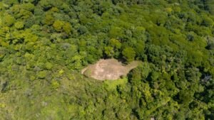 136 Acres Ocean View Land for Sale Near Dominical, Costa Rica – 196812 (9)