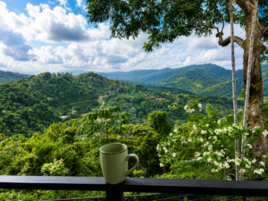 14. coffee on terrace