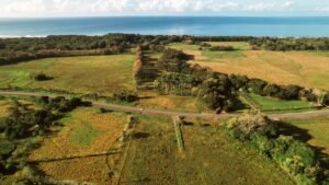 16.6 Acres Commercial Land for Sale in Matapalo Highway Frontage- 197926 (1)