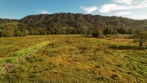 16.6 Acres Commercial Land for Sale in Matapalo Highway Frontage- 197926 (10)