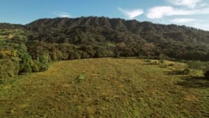 16.6 Acres Commercial Land for Sale in Matapalo Highway Frontage- 197926 (11)