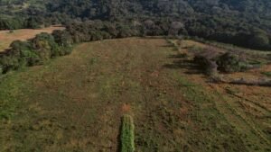 16.6 Acres Commercial Land for Sale in Matapalo Highway Frontage- 197926 (13)