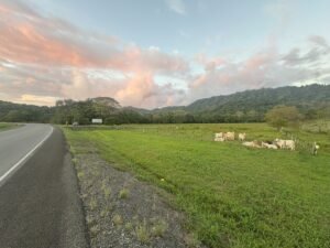 16.6 Acres Commercial Land for Sale in Matapalo Highway Frontage- 197926 (16)