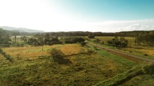 16.6 Acres Commercial Land for Sale in Matapalo Highway Frontage- 197926 (2)