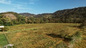 16.6 Acres Commercial Land for Sale in Matapalo Highway Frontage- 197926 (4)