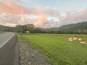 16.6 Acres Commercial Land for Sale in Matapalo Highway Frontage- 197926 (8)