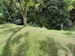 2 Bedroom Pacific View Home for Sale in Ojochal – 197807 (1)