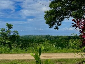 2 Bedroom Pacific View Home for Sale in Ojochal – 197807 (17)