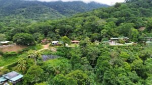 2 Bedroom Pacific View Home for Sale in Ojochal – 197807 (19)
