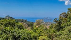 3 Bedroom Ocean View Home on 3.64 Acres Near Dominical Beach (11)