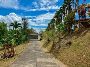 3 Bedroom Ocean View Home on 3.64 Acres Near Dominical Beach (14)