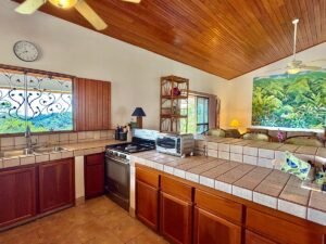 3 Bedroom Ocean View Home on 3.64 Acres Near Dominical Beach (23)