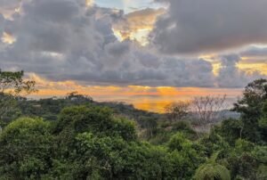 3 Bedroom Ocean View Home on 3.64 Acres Near Dominical Beach (35)