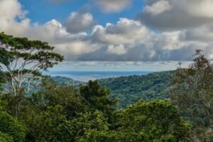 3 Bedroom Ocean View Home on 3.64 Acres Near Dominical Beach (4)
