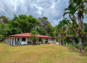3 Bedroom Ocean View Home on 3.64 Acres Near Dominical Beach (8)