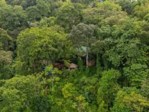 5 Acre Jungle Estate at Nauyaca Waterfalls, Costa Rica – 197118 (1)