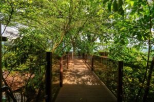 5 Acre Jungle Estate at Nauyaca Waterfalls, Costa Rica – 197118 (12)