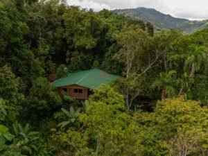 5 Acre Jungle Estate at Nauyaca Waterfalls, Costa Rica – 197118 (14)