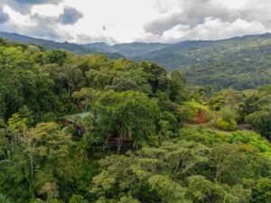 5 Acre Jungle Estate at Nauyaca Waterfalls, Costa Rica – 197118 (15)